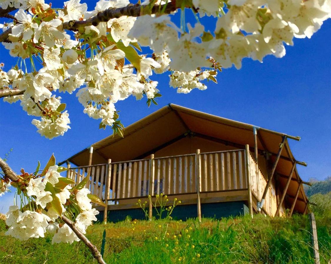 Villaladiva Boutique Glamping 마시냐노 외부 사진