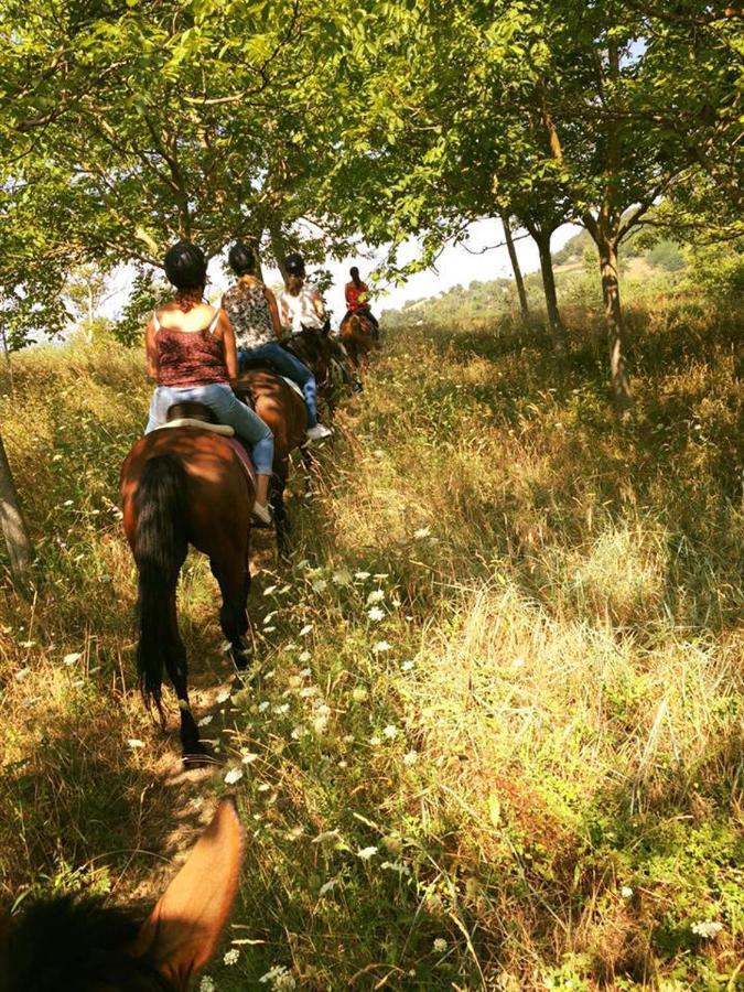 Villaladiva Boutique Glamping 마시냐노 외부 사진
